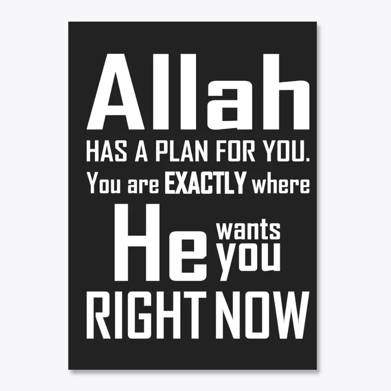 Islamic T-shirt Allah Has A Plan For You